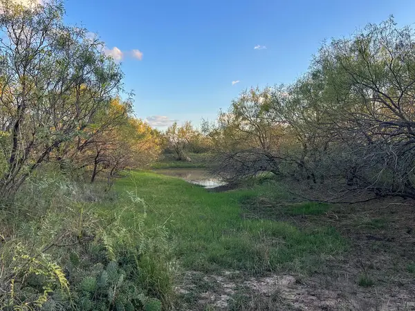 284 Pump Station Road, Mason, TX 76856