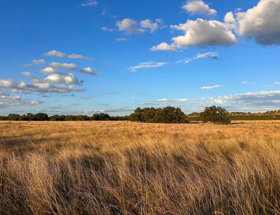 284 Pump Station Road, Mason, TX 76856 - #2