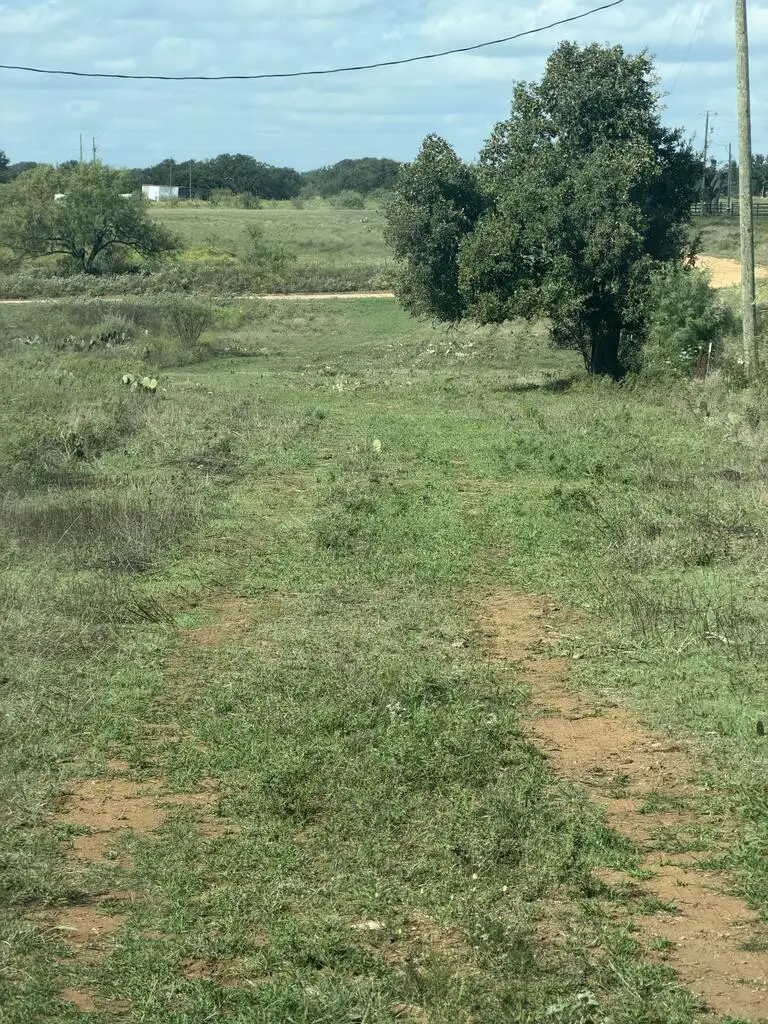 1981 Kothman Rd, Mason, TX 76856 - #3