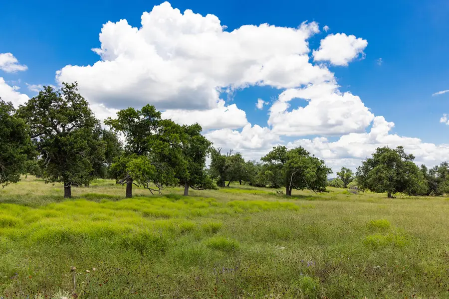 100 N Gretchen Grove Ln, Fredericksburg, TX 78624 - #3
