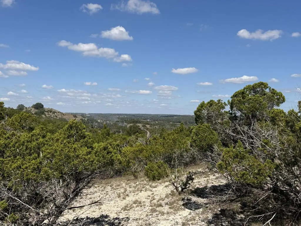 00 Royal Oaks Loop, Fredericksburg, TX 78624 - #1