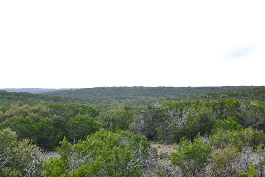 221 Sd 23010, Rocksprings, TX 78880 - #1