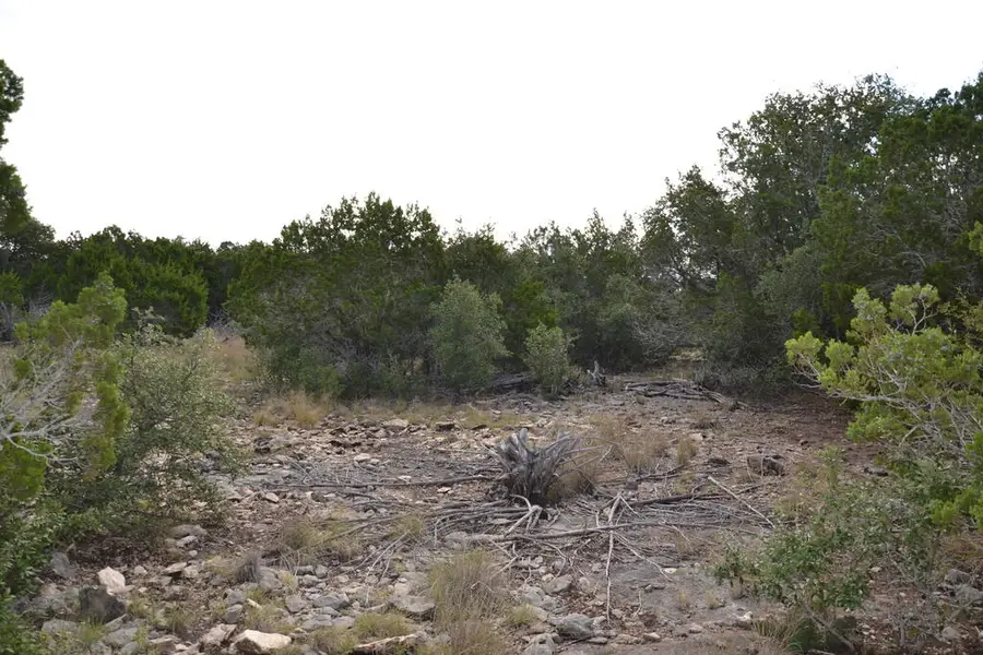 221 Sd 23010, Rocksprings, TX 78880 - #3