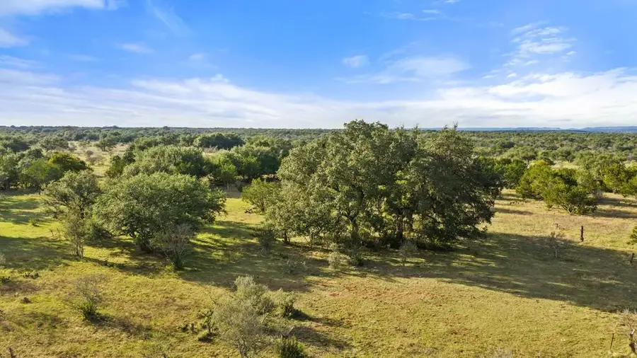1619 Althaus Ranch Rd, Johnson City, TX 78636 - #3