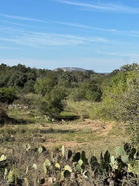 00 County Rd 312, Llano, TX 78643 - #2