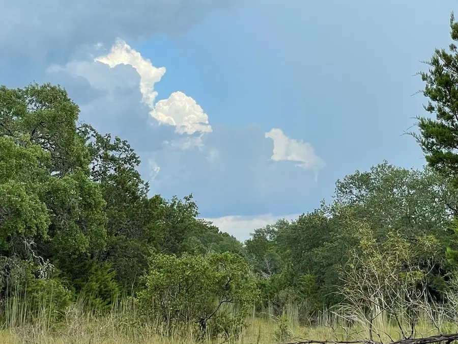 1922 Pedernales Hills Rd, Johnson City, TX 78636 - #3