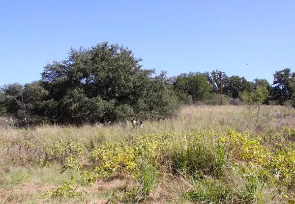 N/A SE Meyer St, Mason, TX 76856