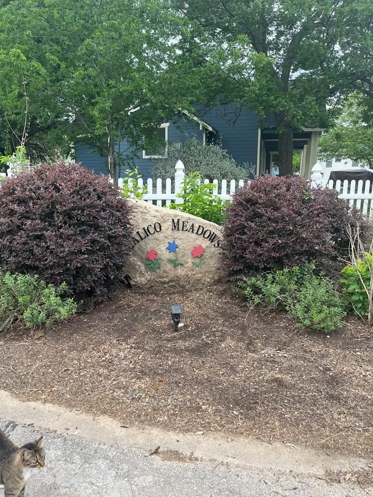 206 Prim Rose, Blanco, TX 78606 - Image #1