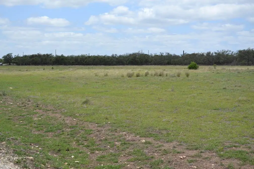 0 Roan Meadow Ln, Harper, TX 78631 - #1