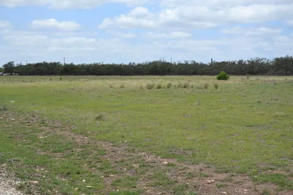 0 Roan Meadow Ln, Harper, TX 78631