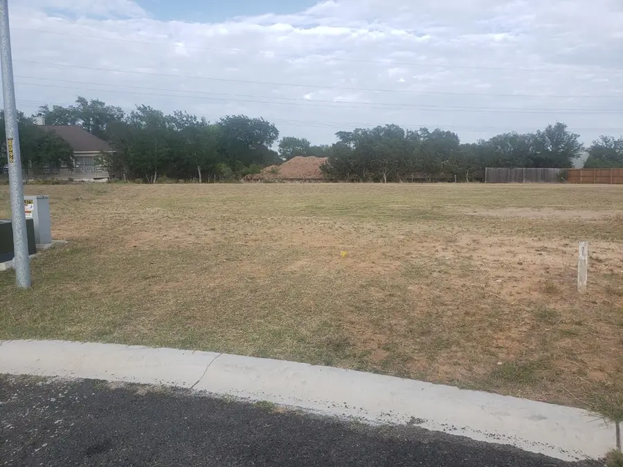 607 Gibson Ct, Fredericksburg, TX 78624 - #3