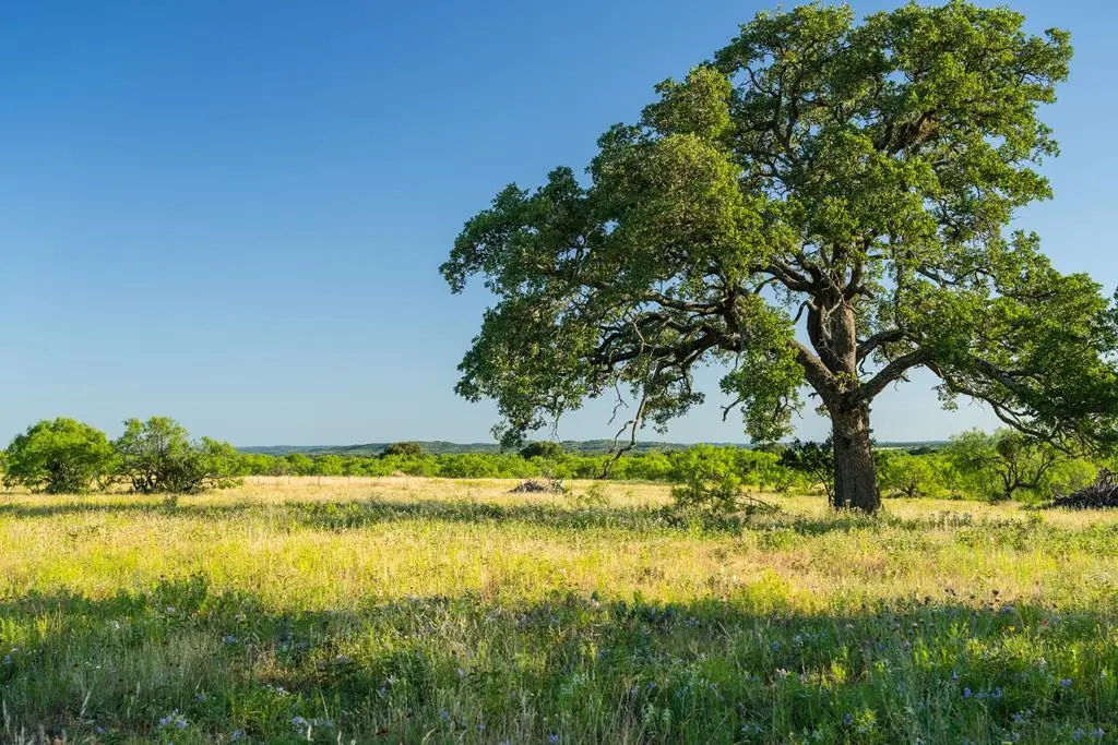 439 NE Airport Rd, Mason, TX 76856 - Image #1