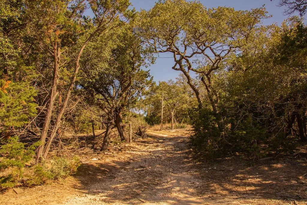 176 Rock Wall, Blanco, TX 78606 - #1