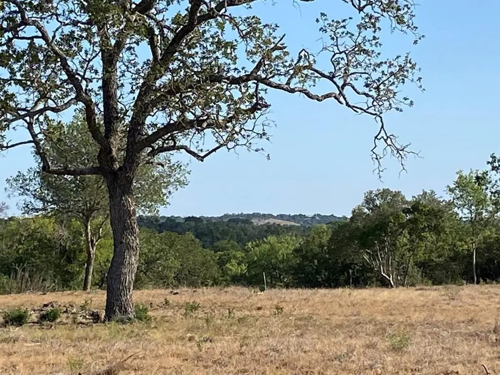 00 Pfiester Rd, Fredericksburg, TX 78624 - Image #1