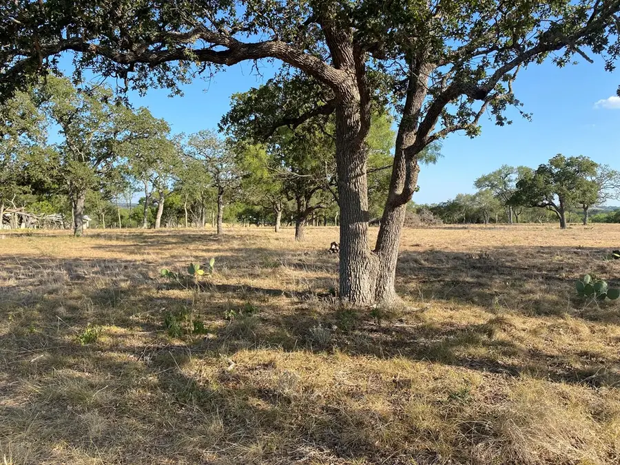 00 Pfiester Rd, Fredericksburg, TX 78624 - Image #2