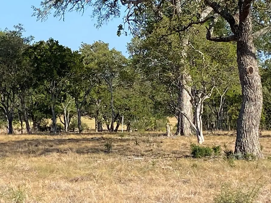 00 Pfiester Rd, Fredericksburg, TX 78624 - Image #3