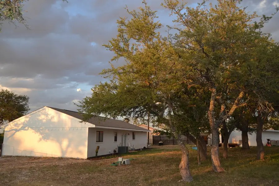 163 Quail Run, Harper, TX 78631 - Image #3