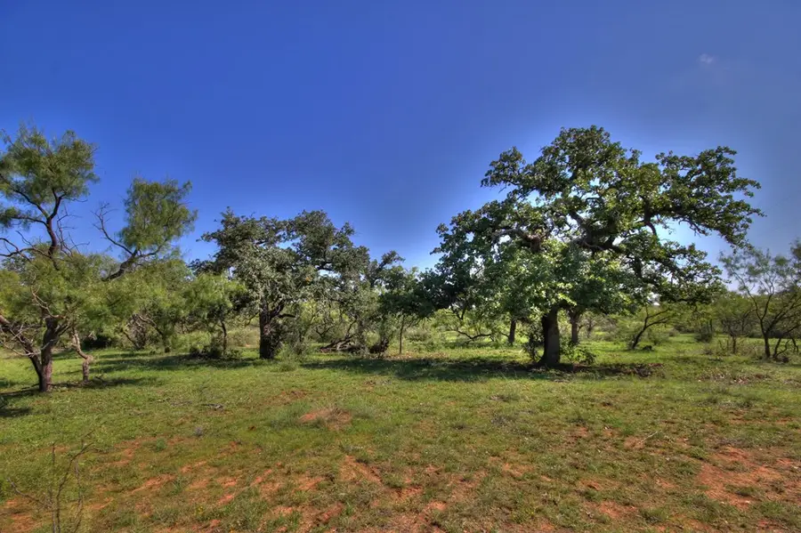 271 Threadgill Lane, Valley Spring, TX 76885 - Image #3