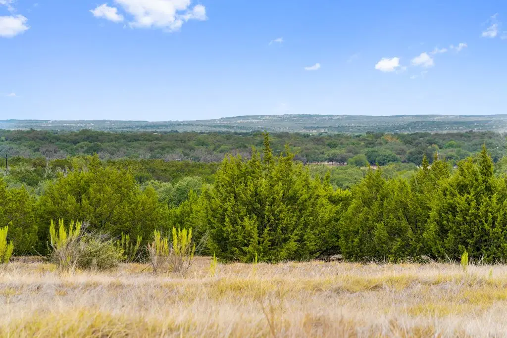 1746 Flat Creek Rd, Johnson City, TX 78636 - #1