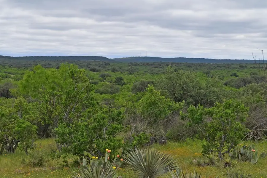 - Keyserville Rd, Mason, TX 76856 - Image #2