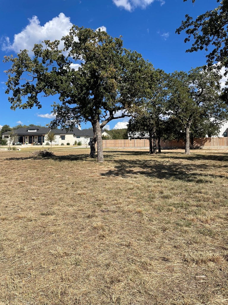 2301 Stone Cross, Fredericksburg, TX 78624 - #2