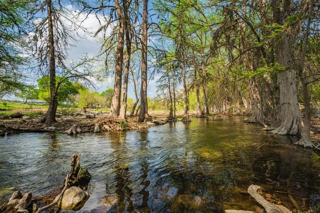 100 High Rd, Hunt, TX 78024 - Image #1