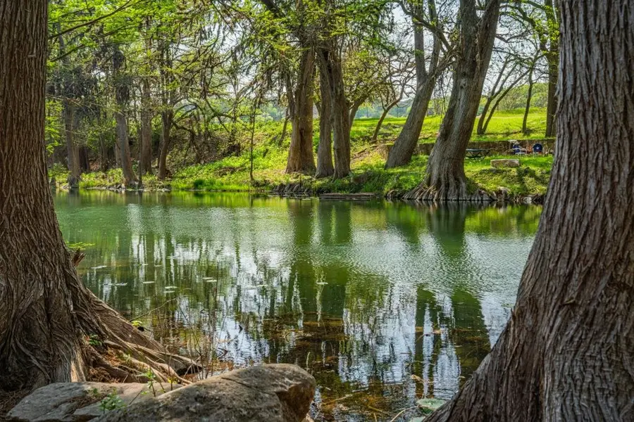 100 High Rd, Hunt, TX 78024 - Image #2