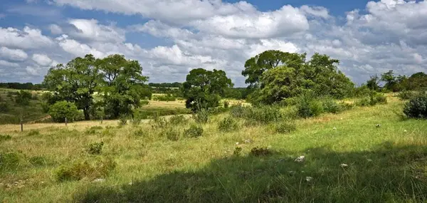 343 Cattle Creek, Johnson City, TX 78636