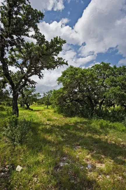 343 Cattle Creek, Johnson City, TX 78636 - Image #2