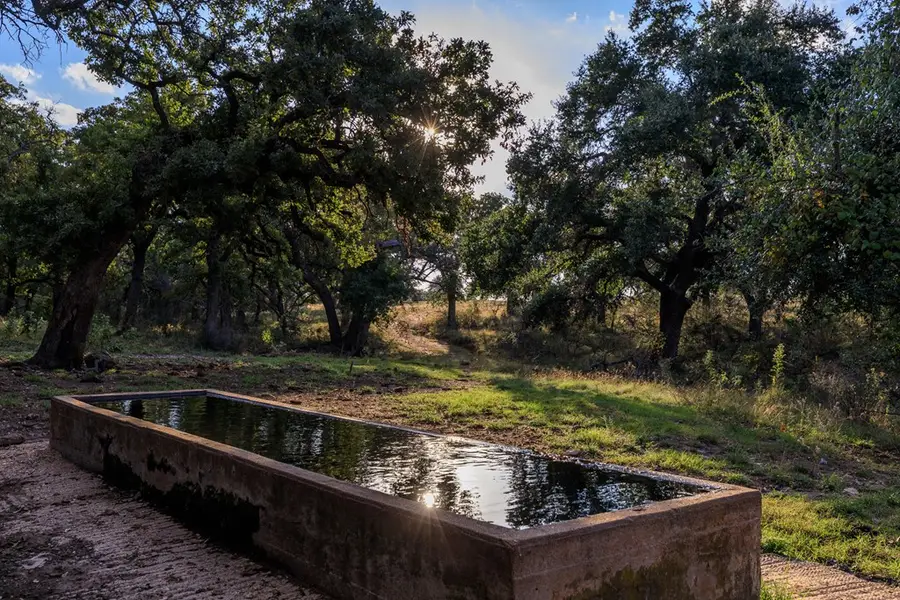 854-1 Lynn Hardin Rd, Round Mountain, TX 78663 - Image #3