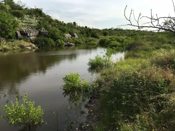 0000 County Rd 1445, Paint Rock, TX 76866