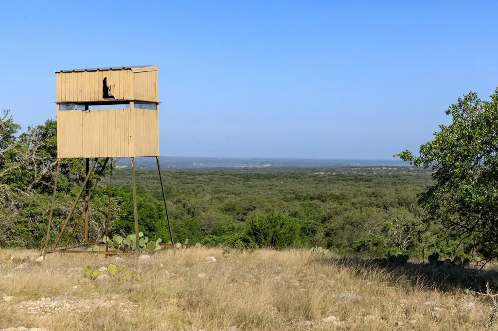 1093 Allen Hagel Dr, Harper, TX 78631 - #1