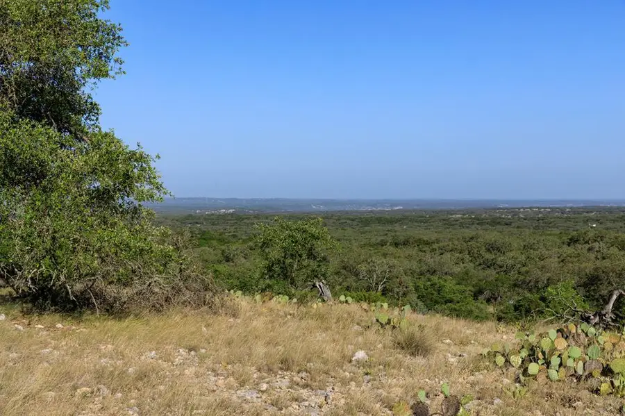 1093 Allen Hagel Dr, Harper, TX 78631 - #2