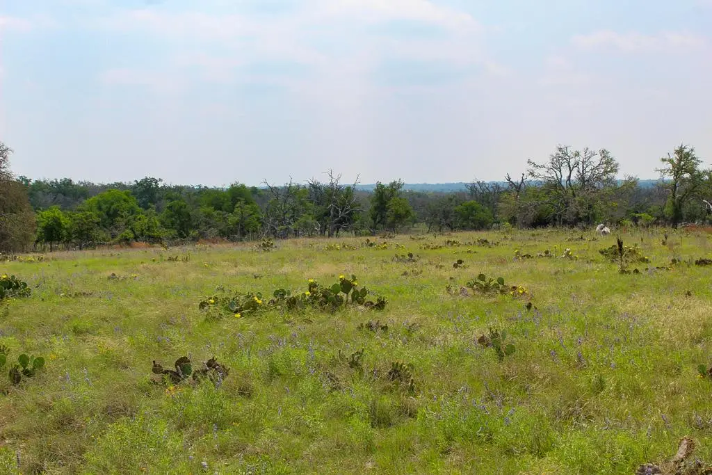 21 Apache Trace, Harper, TX 78631 - Image #1