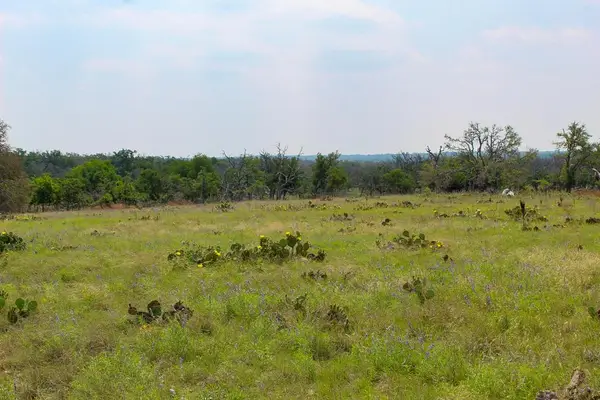 21 Apache Trace, Harper, TX 78631