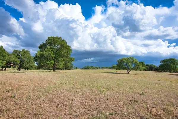 Address Withheld By Seller, Voca, TX 76887