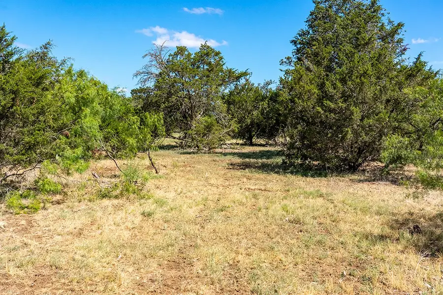 Lot 33 Far View Lane, Fredericksburg, TX 78624 - #2