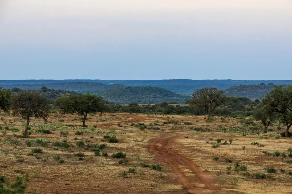 6789 Grossville School Road, Mason, TX 76856 - Image #1