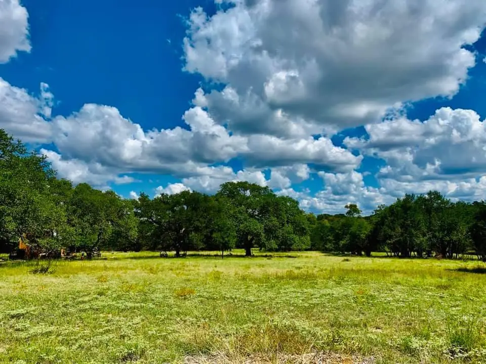 114 S Vaquero Dr, Blanco, TX 78606 - #1