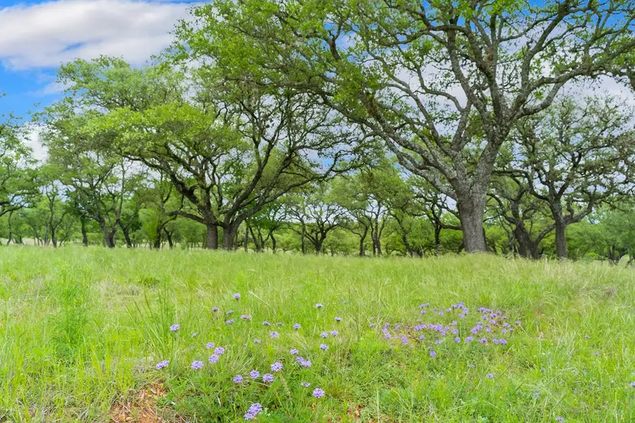 2936 Ranch Rd 1323, Johnson City, TX 78636 - Image #3