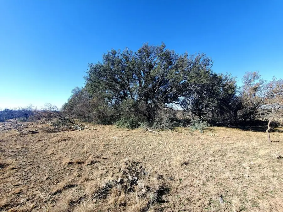 5552 Mesquite Springs Loop, Menard, TX 76859 - Image #2