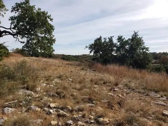 545 N Settlers Way, Comfort, TX 78013 - Image #3