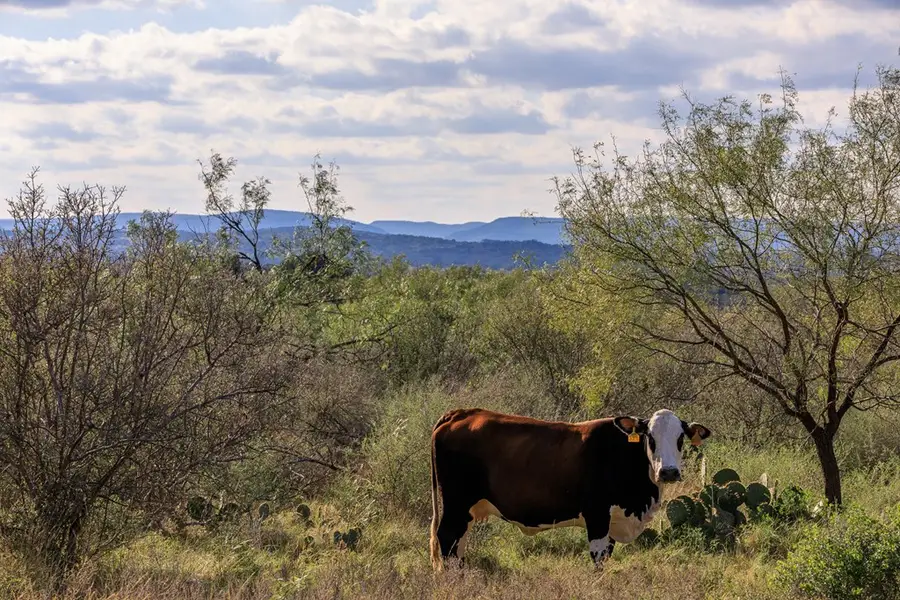 5982 Ranch Rd 3347, Round Mountain, TX 78663 - #2