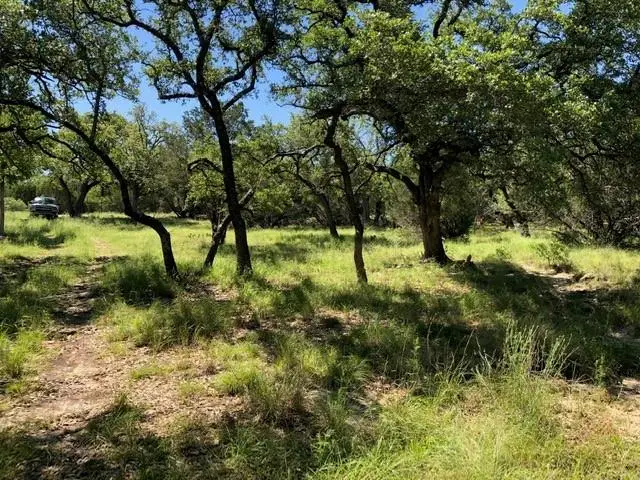 541 Rough Hollow, Johnson City, TX 78636 - #1