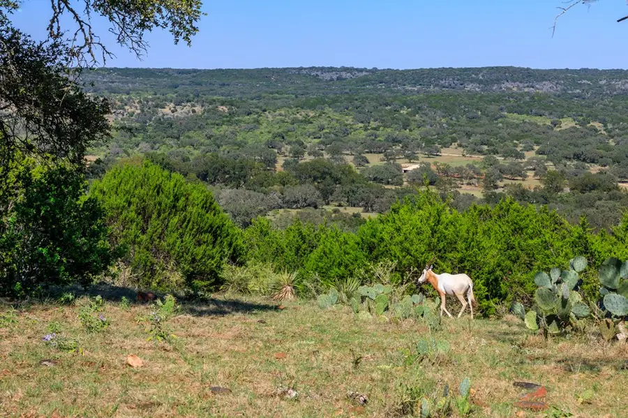 3821 County Rd 226, Llano, TX 78643 - Image #3
