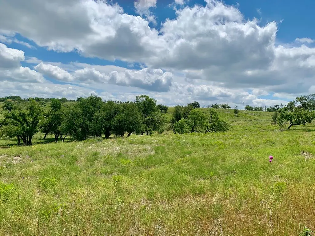 Lot 14 Badger Ridge Rd, Fredericksburg, TX 78624 - Image #1