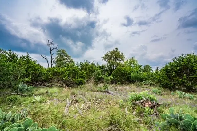 211 Spring Rd, Fredericksburg, TX 78624 - #1