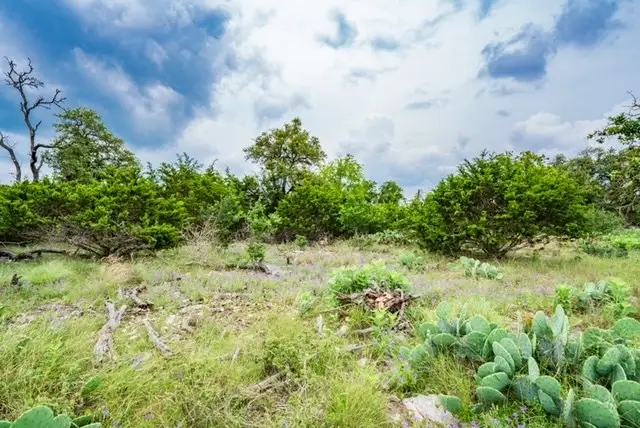 211 Spring Rd, Fredericksburg, TX 78624 - #2