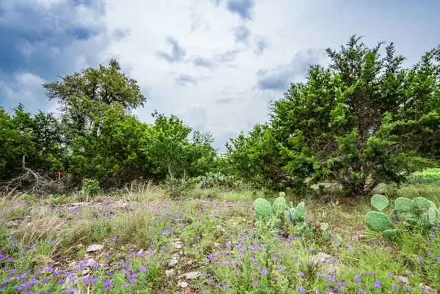 211 Spring Rd, Fredericksburg, TX 78624 - #3