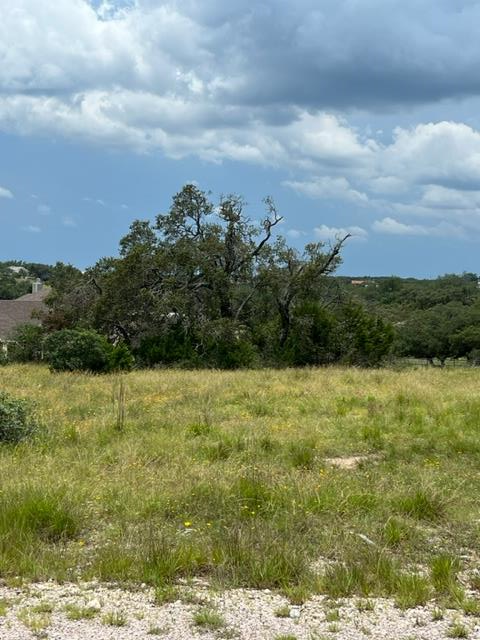 102 Ephram Mclane, Blanco, TX 78606 - #1